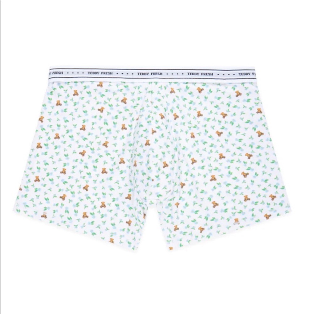 Teddy fresh XL underwear 🧸🎋🍃